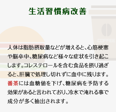 【生活習慣病改善】人体は脂肪摂取量などが増えると、心筋梗塞や脳卒中、糖尿病など様々な症状を引き起こします。コレステロールを含む食品を摂り過ぎると、肝臓で処理し切れずに血中に残ります。番茶には血糖値を下げ、糖尿病を予防する効果があると言われており、冷水で淹れる事で成分が多く抽出されます。