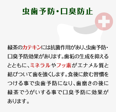 【虫歯予防・口臭防止】緑茶のカテキンには抗菌作用があり、虫歯予防・口臭予防効果があります。歯垢の生成を抑えるとともに、ミネラルやフッ素がエナメル質と結びついて歯を強くします。食後に飲む習慣をつける事で虫歯予防になり、歯磨きの後に緑茶でうがいする事で口臭予防に効果があります。