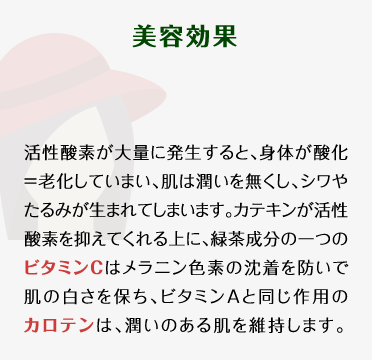 【美容効果】活性酸素が大量に発生すると、身体が酸化＝老化していまい、肌は潤いを無くし、シワやたるみが生まれてしまいます。カテキンが活性酸素を抑えてくれる上に、緑茶成分の一つのビタミンCはメラニン色素の沈着を防いで肌の白さを保ち、ビタミンAと同じ作用のカロテンは、潤いのある肌を維持します。